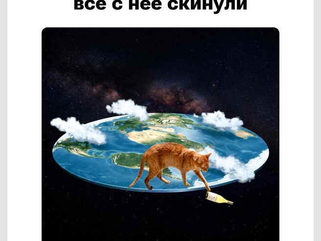 Кошатники точно это знают | Источник: Городские медиа