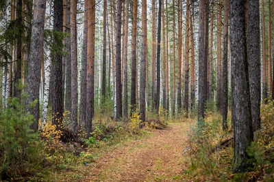 В Якутии за год погибли 80 человек, 16 пропали без вести