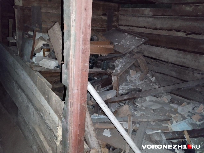 Источник: Дмитрий Волгин / Voronezh1.ru