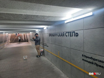 Источник: Анастасия Баринова / 56.RU