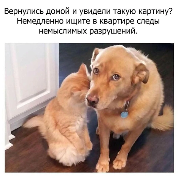 Источник: соцсети