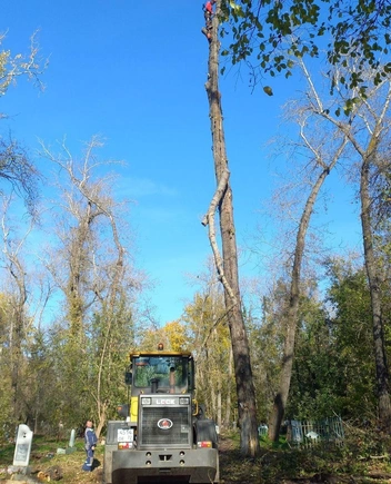 Источник: администрация Тюмени