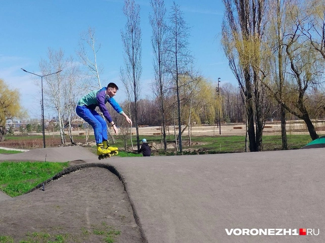 Источник: Дмитрий Волгин / Voronezh1.ru