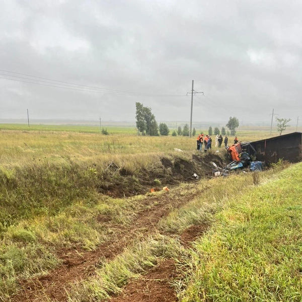 Источник: УМВД России по Оренбургской области