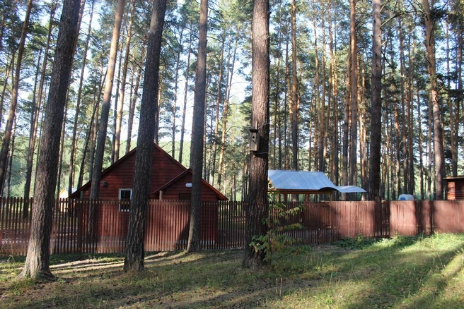 Источник: Осетровскийпруд.рф
