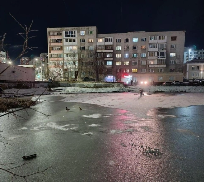 Озеро практически замерзло | Источник: Александра, собеседница 51.RU