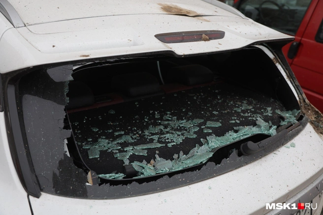 Источник: Дмитрий Толстошеев / MSK1.RU