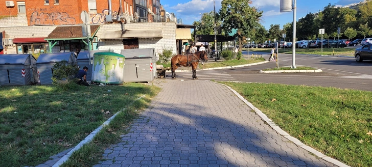 В Сербии — жить: 3 истории россиян, перебравшихся на Балканы по работе, необходимости и любви