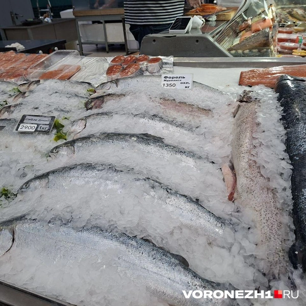 Источник: Алёна Воропаева / Voronezh1.ru