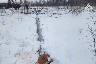 Житель Зейского округа обвиняется в случайной гибели товарища при валке леса
