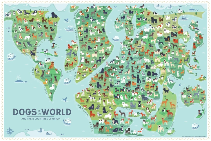 Карта пород собак по странам их происхождения