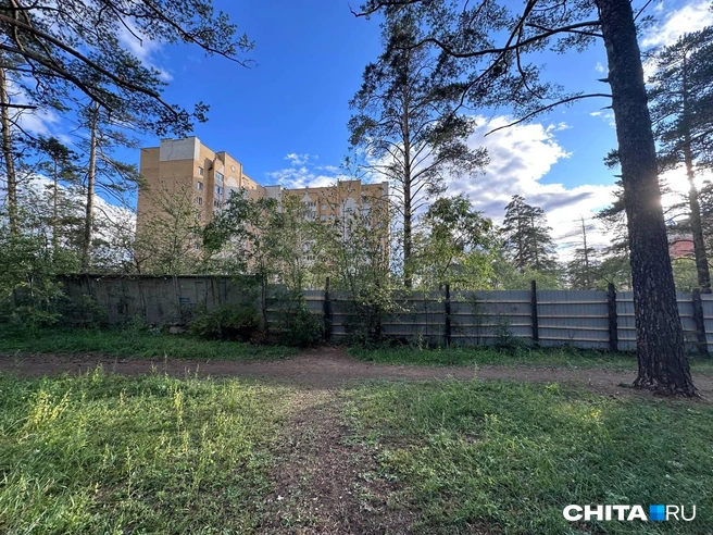 Люди считают, что их не хотят пускать в лесок | Источник: Олег Федоров / CHITA.RU