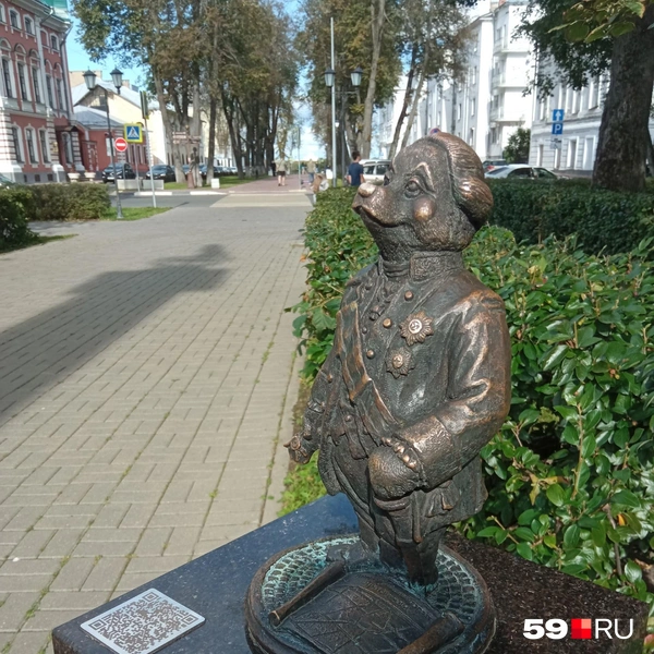 Медведи на любой вкус | Источник: Вероника Свизева / 59.RU