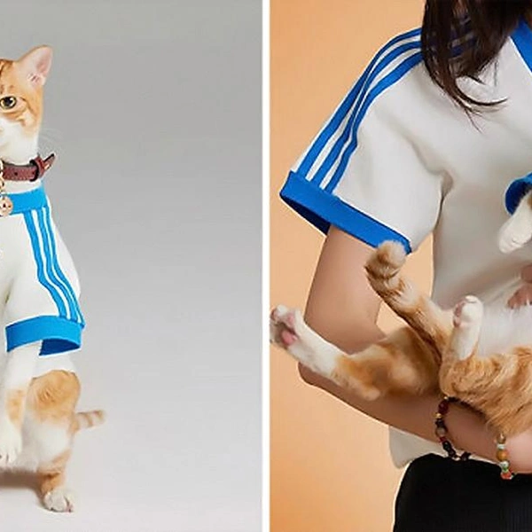 Источник: Adidas China / соцсети
