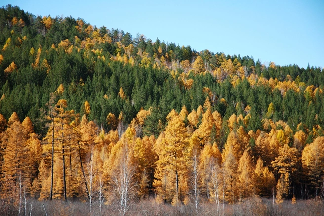 Источник: depositphotos.com