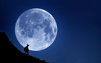 Почему над горизонтом Луна кажется большой, а над головой — маленькой?