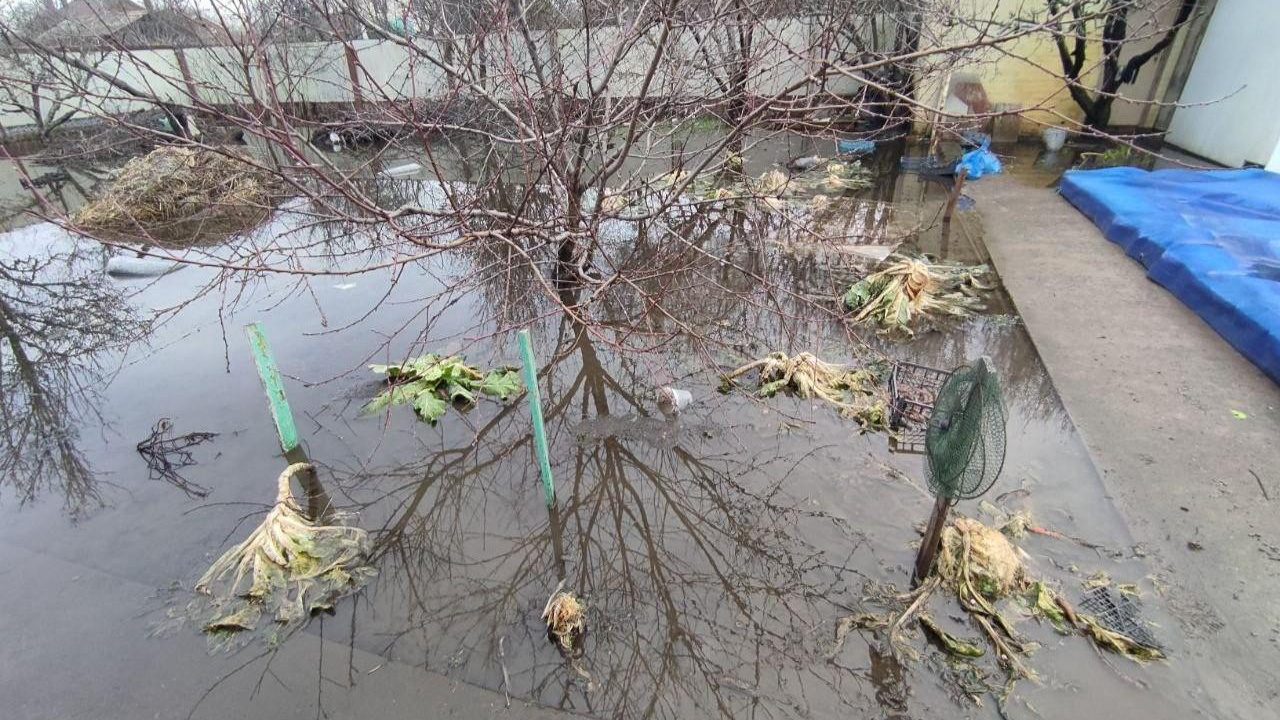 Власти не смогли изучить грунтовые воды на Дону — виноват запрет на дроны