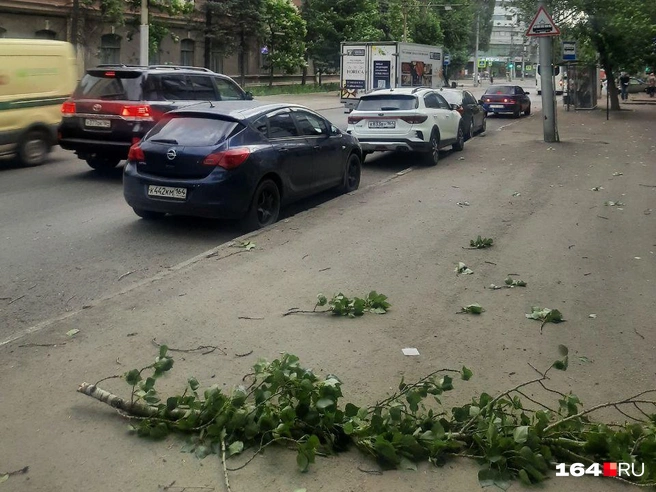 А это уже центр города, тут тоже ветки упали на дорогу | Источник: Сергей Гендин / 164.RU