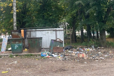 В Костроме выдали 300 предписаний за вывоз мусора