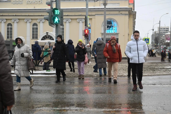 В ближайшие дни начнет активно таять снег | Источник: Дмитрий Емельянов / E1.RU