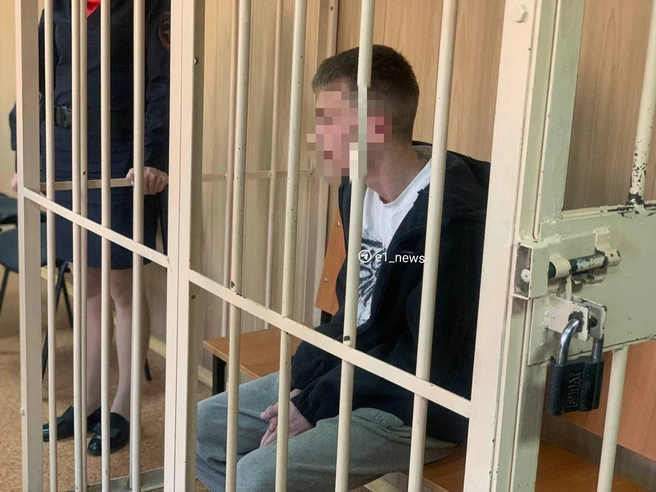 Свою вину парень признал частично | Источник: Дарья Манохина / E1.RU