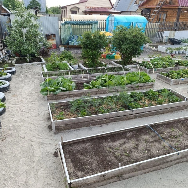 Источник: предоставлено участником конкурса