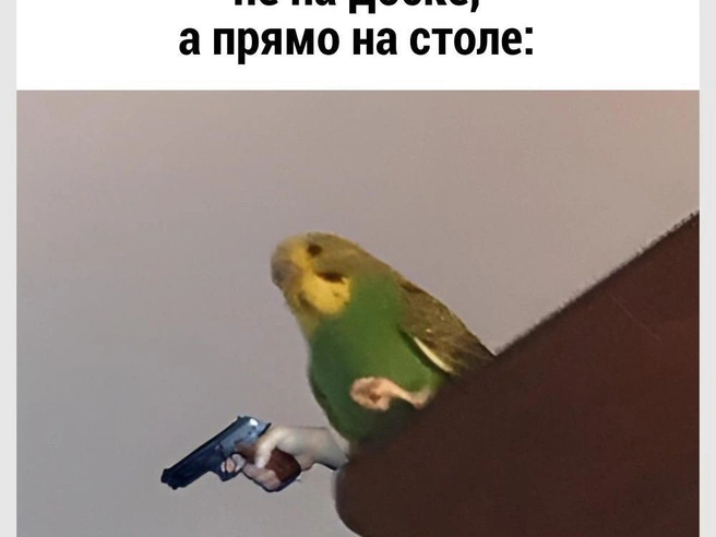 Нужно было сначала подумать! | Источник: Городские медиа