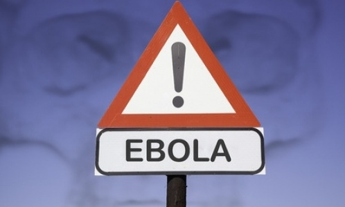 Красный крест: Эпидемию лихорадки Эбола можно победить за полгода