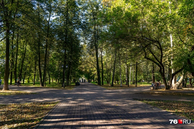 Здесь разбиты дорожки для неспешных прогулок | Источник: Кирилл Поверинов / 76.RU