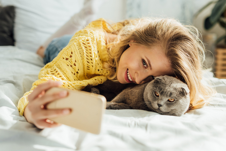 Как аллергику ужиться в одном доме с кошкой: 5 важных правил