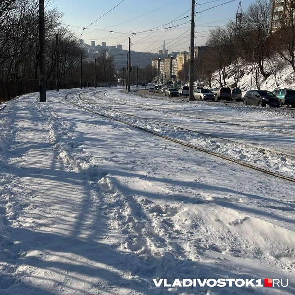 Источник: Елена Буйвол / VLADIVOSTOK1.RU