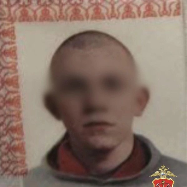 Источник: ГУ МВД России по г. Санкт-Петербургу и Ленинградской области