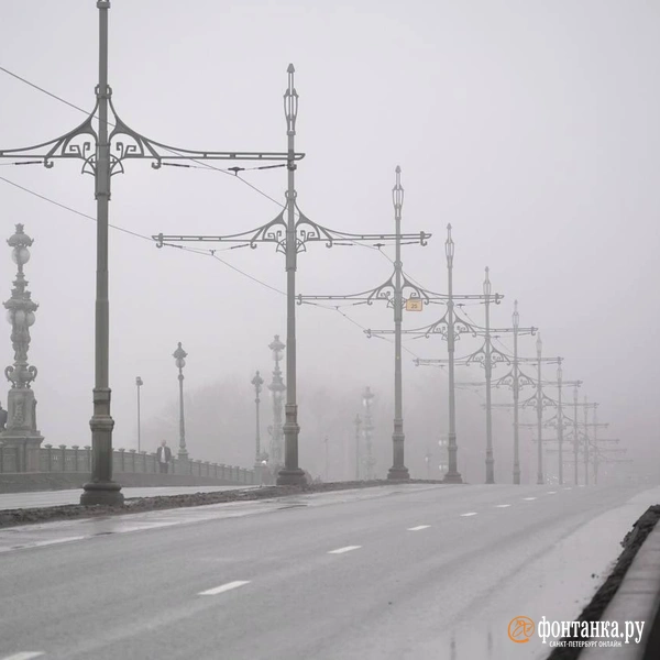 Источник:  Павел Даиси / «Фонтанка.ру