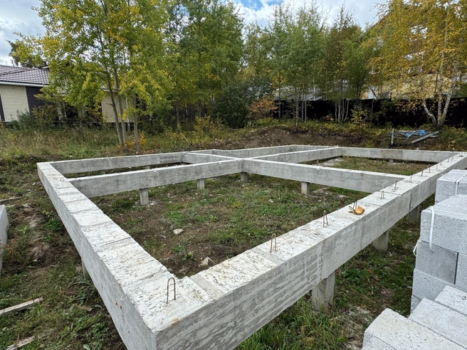 Так «дом» выглядел летом этого года | Источник: Анастасия Петрова