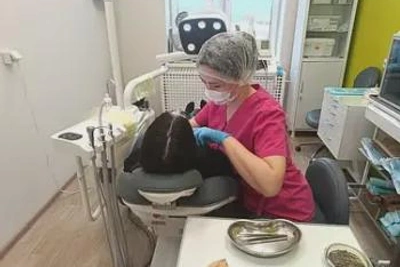 Новая стоматологическая установка для детей в Учалах