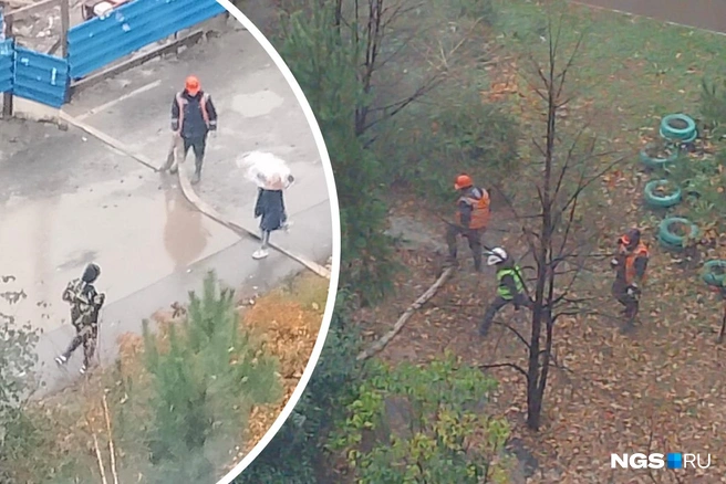 Виновного специалиста уволят | Источник: читательница НГС