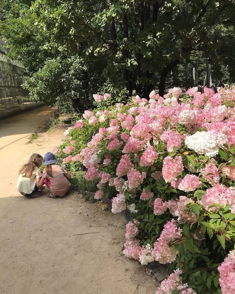 Куда сходить на свидание в Москве? 💞