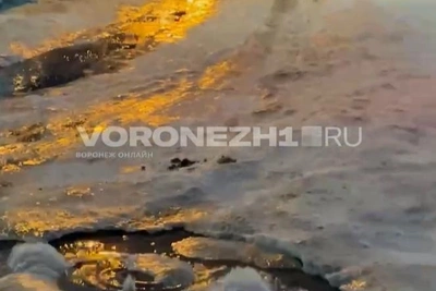 На улице Шишкова в Воронеже прорвало водопровод