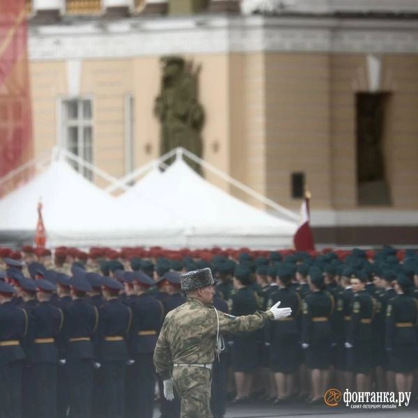 Источник: Дарья Драй / «Фонтанка.ру»