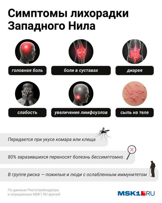 Источник: Евгения Бикунова / Городские медиа