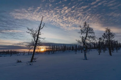 На Ямале объявлено штормовое предупреждение