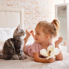 Почему кошка будит вас по утрам: у нее на это 5 причин🐾