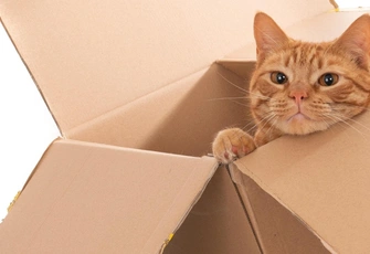 Как правильно «расхламлять» квартиру и куда деть лишние вещи после уборки