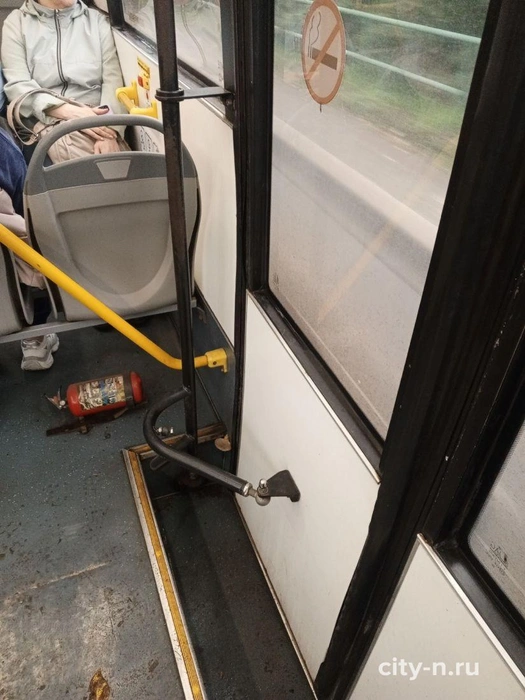 «Гриб вырос — это хорошо!» — комментирует автор фото | Источник: www.city-n.ru