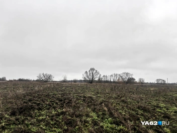 Примерно так сейчас выглядит место бывшей воронки | Источник: Кристина Мельникова / YA62.RU