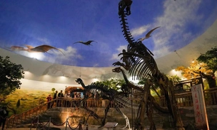 Мальчик или девочка? Ученые придумали определять пол динозавров по травмам после спаривания