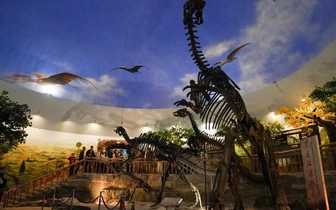 Мальчик или девочка? Ученые придумали определять пол динозавров по травмам после спаривания