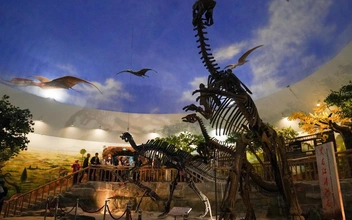 Мальчик или девочка? Ученые придумали определять пол динозавров по травмам после спаривания