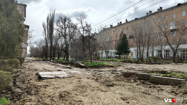 Так выглядит сейчас выгдядит бульварная часть улицы Дзержинского | Источник: Константин Завриков / V1.RU