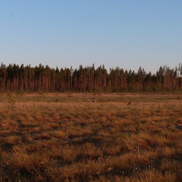 Источник: Павел Глазков